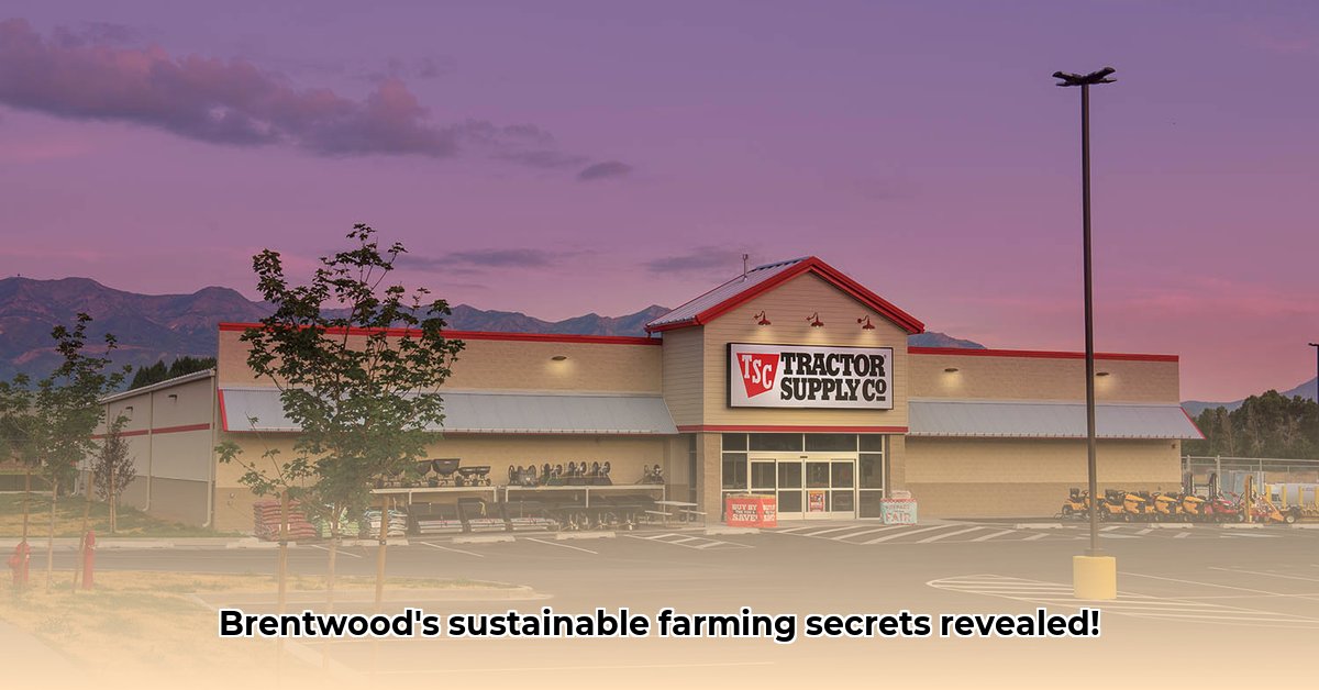 tractor-supply-brentwood-california